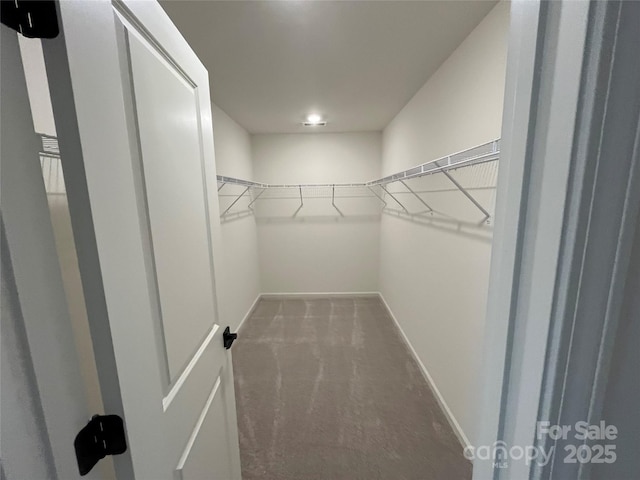 435 Lancashire Ct, Denver, NC 28037 - walk in closet featuring carpet