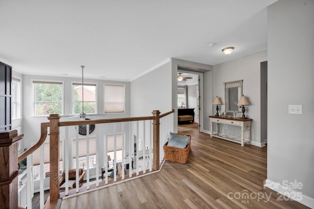 1066 Shelly Woods Dr, Fort Mill, SC 29707 - photo 23