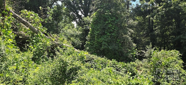 819 Montclair Cir NW, Lenoir, NC 28645 - view of tree filled area