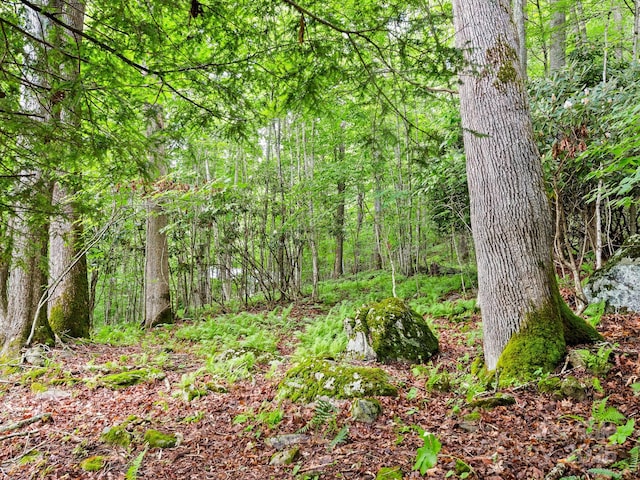 1400 Watershed Rd, Mars Hill, NC 28754 - view of woods