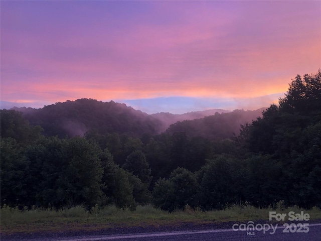 1400 Watershed Rd, Mars Hill, NC 28754 - mountain view with a heavily wooded area