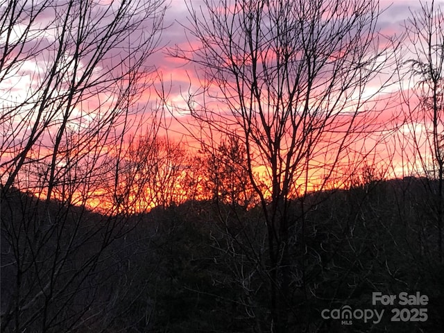 1400 Watershed Rd, Mars Hill, NC 28754 - view of nature at dusk