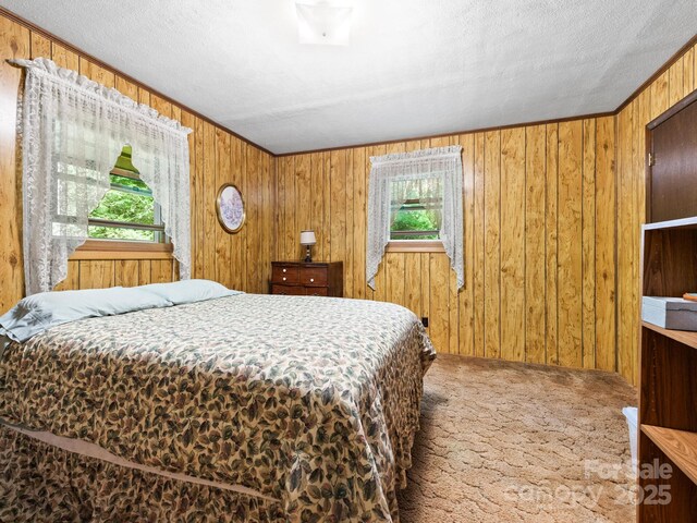 1400 Watershed Rd, Mars Hill, NC 28754 - bedroom featuring carpet and wood walls