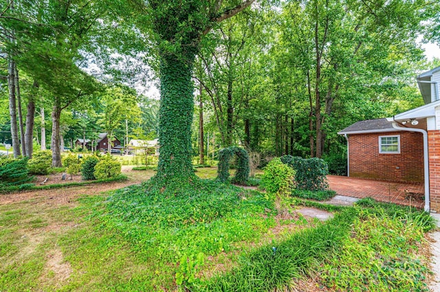 3781 Dover St, Claremont, NC 28610 - view of yard featuring a patio
