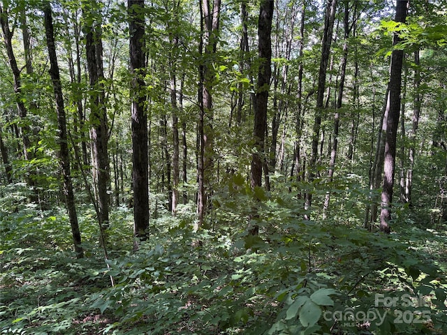 00 Slippery Rock Road 306 & 307, Waynesville, NC 28785 - photo 2