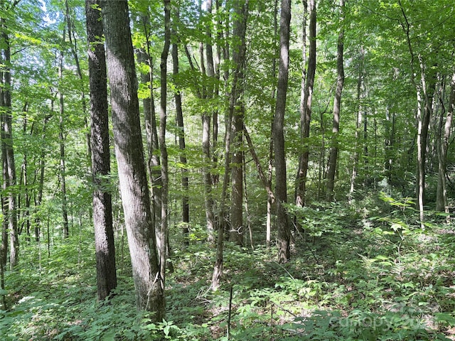 00 Slippery Rock Road 306 & 307, Waynesville, NC 28785 - photo 3