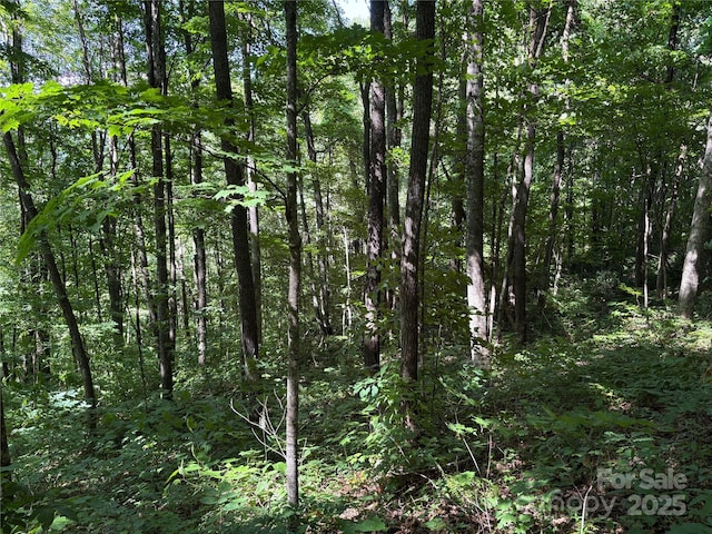 00 Slippery Rock Road 306 & 307, Waynesville, NC 28785 - photo 4