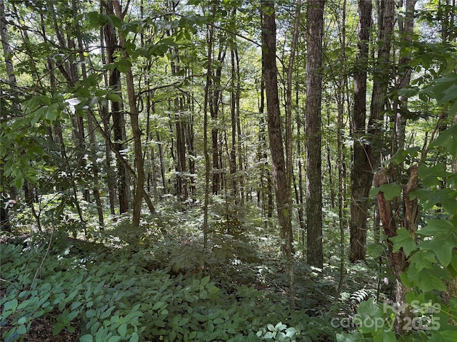 00 Slippery Rock Road 306 & 307, Waynesville, NC 28785 - photo 5