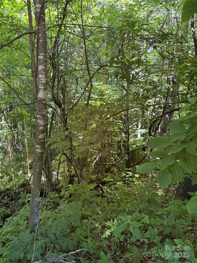 00 Slippery Rock Road 306 & 307, Waynesville, NC 28785 - photo 6