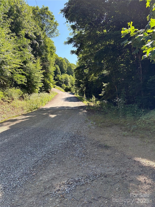 00 Slippery Rock Road 306 & 307, Waynesville, NC 28785 - photo 7