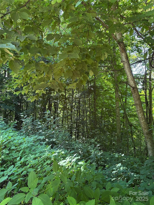 00 Slippery Rock Road 306 & 307, Waynesville, NC 28785 - photo 8
