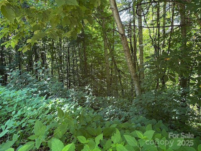 00 Slippery Rock Road 306 & 307, Waynesville, NC 28785 - photo 9