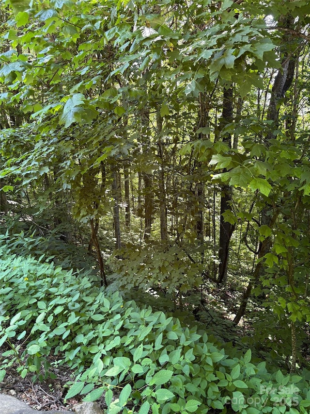 00 Slippery Rock Road 306 & 307, Waynesville, NC 28785 - photo 11