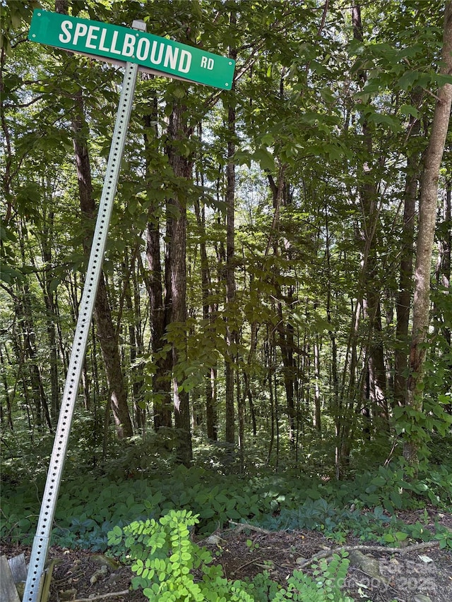 00 Slippery Rock Road 306 & 307, Waynesville, NC 28785 - photo 12