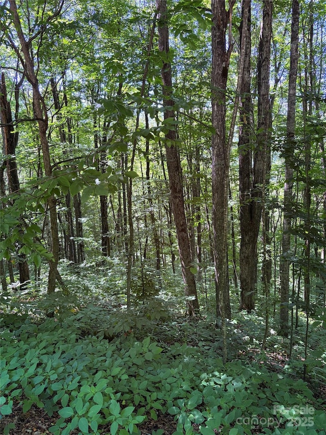 00 Slippery Rock Road 306 & 307, Waynesville, NC 28785 - photo 13