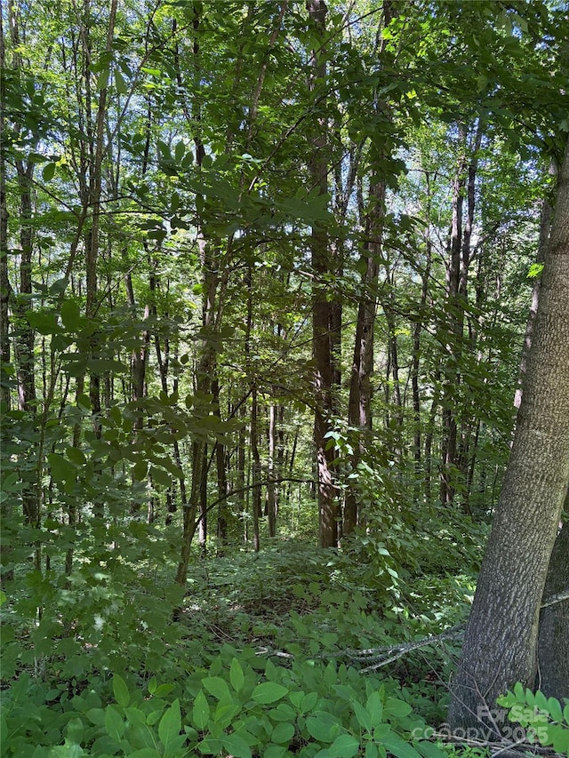 00 Slippery Rock Road 306 & 307, Waynesville, NC 28785 - photo 14