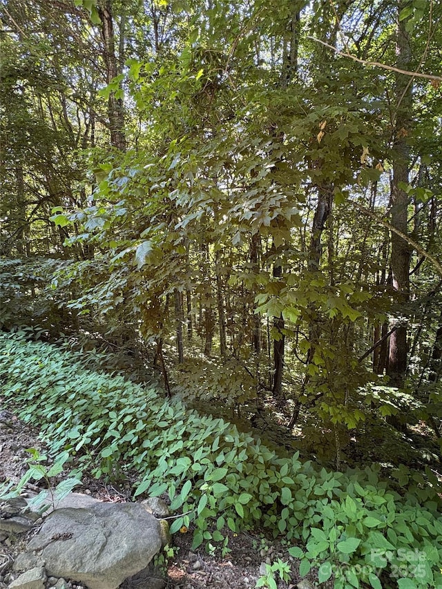00 Slippery Rock Road 306 & 307, Waynesville, NC 28785 - photo 15