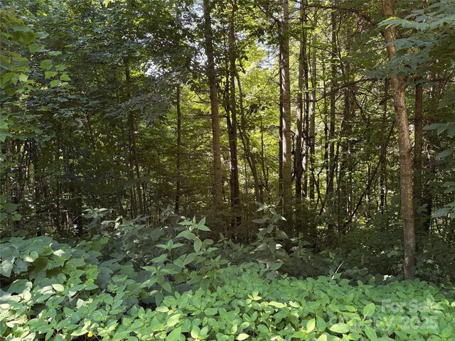 00 Slippery Rock Road 306 & 307, Waynesville, NC 28785 - photo 16