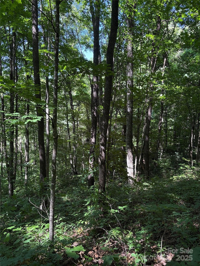 00 Slippery Rock Road 306 & 307, Waynesville, NC 28785 - photo 17