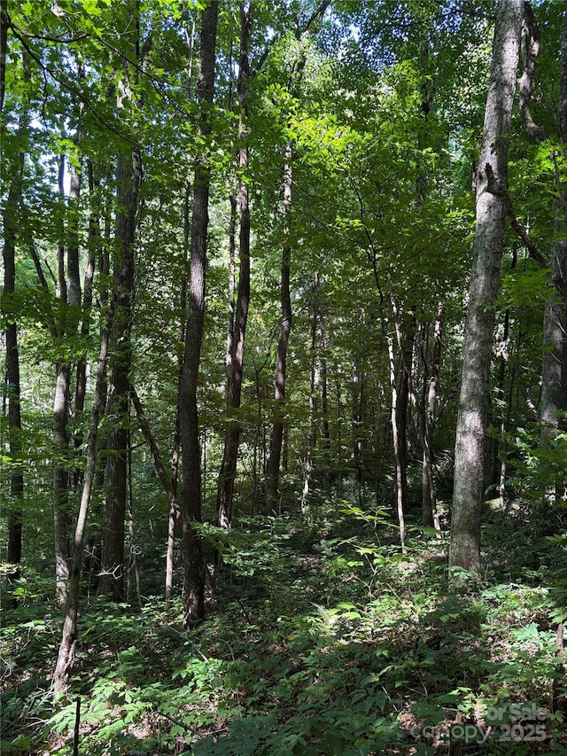 00 Slippery Rock Road 306 & 307, Waynesville, NC 28785 - photo 18