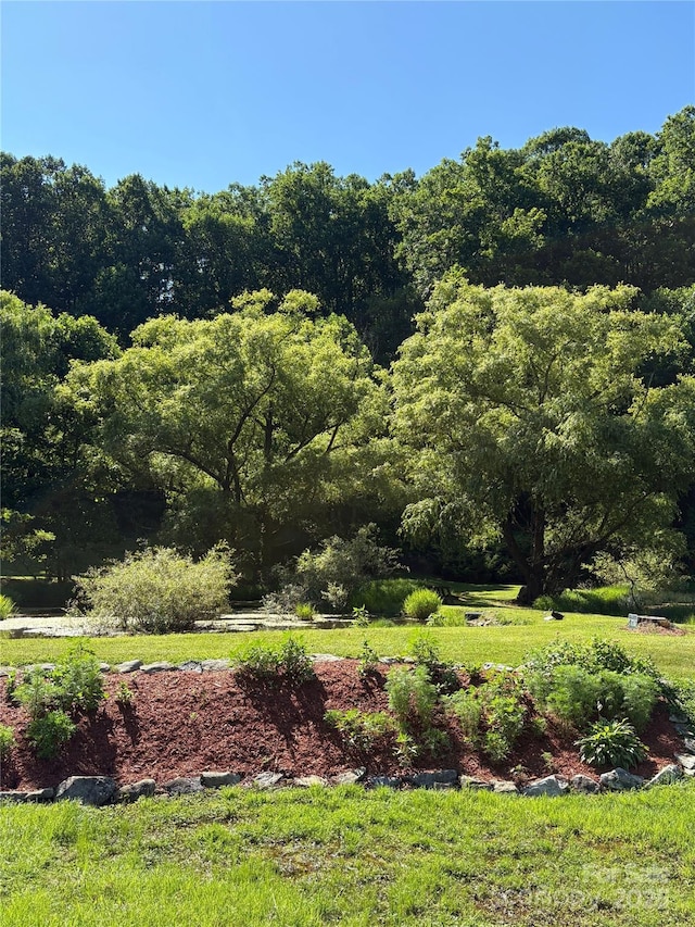 00 Slippery Rock Road 306 & 307, Waynesville, NC 28785 - photo 21