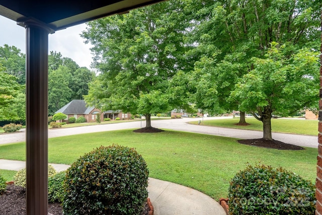614 Azalea Ln, China Grove, NC 28023 - view of green lawn