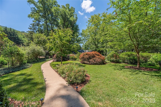 24 Woodcrest Rd, Asheville, NC 28804 - photo 3