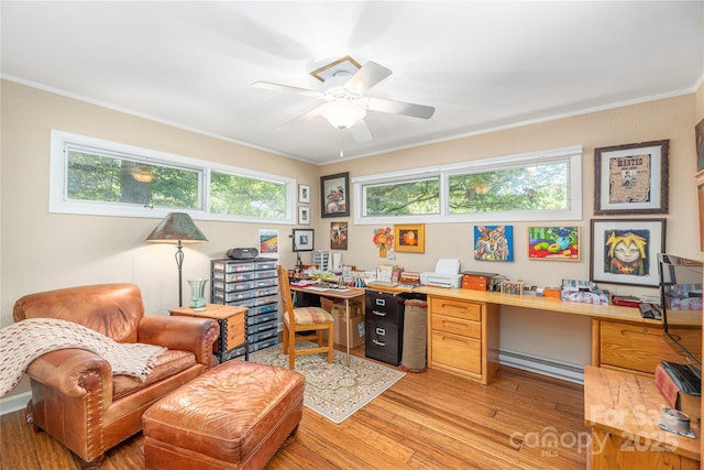 24 Woodcrest Rd, Asheville, NC 28804 - photo 21
