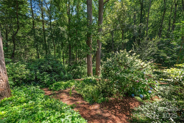 24 Woodcrest Rd, Asheville, NC 28804 - photo 31