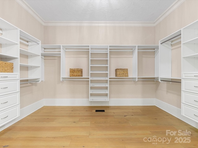 703 Sainte Rose Ln, Charlotte, NC 28226 - photo 22