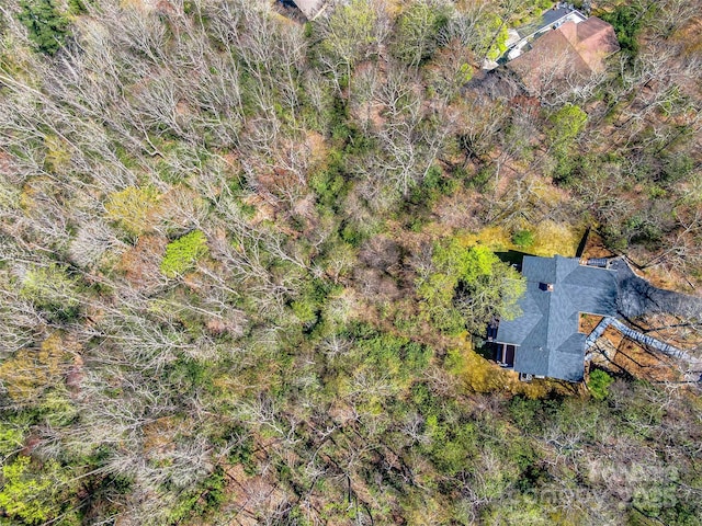 80 Raven Rock Vis, Lake Toxaway, NC 28747 - view of subject property