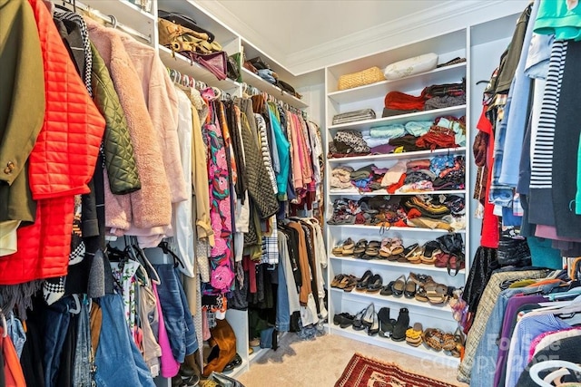 1511 Elkhart Cir, Gastonia, NC 28054 - walk in closet with carpet floors