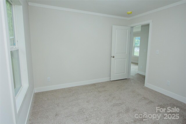 32 Bright St, Waynesville, NC 28786 - photo 20