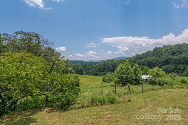 1304 Souther Rd, Old Fort, NC 28762 - photo 3