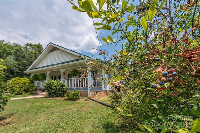 1304 Souther Rd, Old Fort, NC 28762 - photo 30