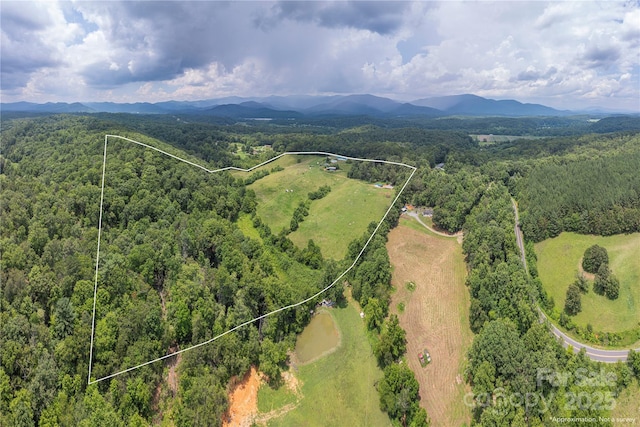1304 Souther Rd, Old Fort, NC 28762 - photo 42