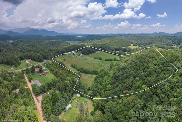 1304 Souther Rd, Old Fort, NC 28762 - photo 43