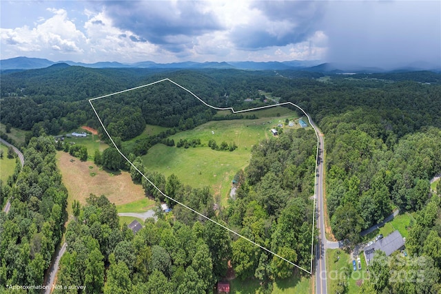 1304 Souther Rd, Old Fort, NC 28762 - photo 44