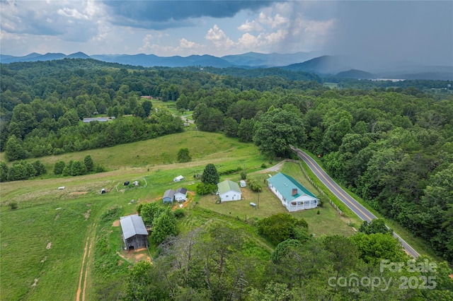 1304 Souther Rd, Old Fort, NC 28762 - photo 45