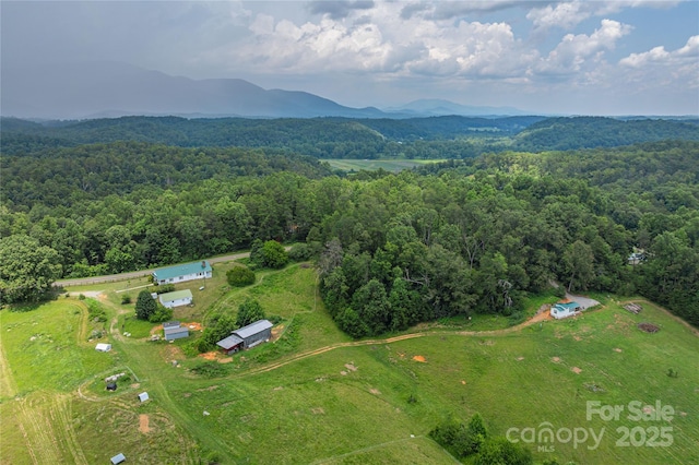 1304 Souther Rd, Old Fort, NC 28762 - photo 47