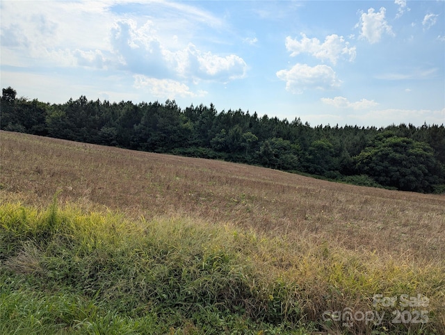 1455 Blonnie Ross Rd, Polkton, NC 28135 - photo 2