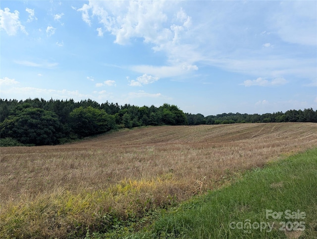 1455 Blonnie Ross Rd, Polkton, NC 28135 - photo 3