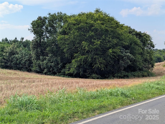 1455 Blonnie Ross Rd, Polkton, NC 28135 - photo 4