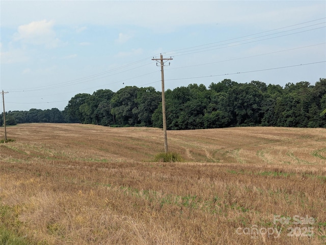 1455 Blonnie Ross Rd, Polkton, NC 28135 - photo 5