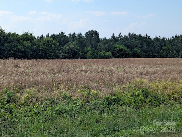 1455 Blonnie Ross Rd, Polkton, NC 28135 - photo 6