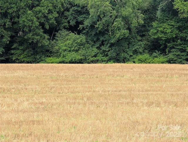1455 Blonnie Ross Rd, Polkton, NC 28135 - photo 9