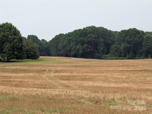1455 Blonnie Ross Rd, Polkton, NC 28135 - photo 10