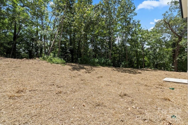 100 Boyette Dr Unit A, Albemarle, NC 28001 - view of local wilderness