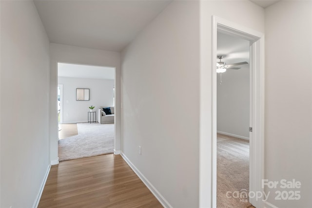 1108 Nia Rd, Charlotte, NC 28215 - photo 5