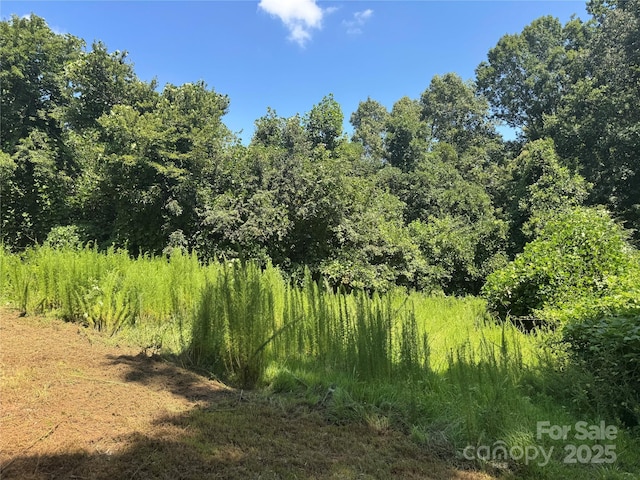 301 Gorrell St, Shelby, NC 28152 - photo 6